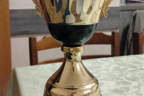 Regijsko smučanje - prehodni pokal javni zavod sotočje medvode